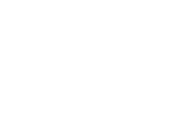 Strong Sleeves Logo